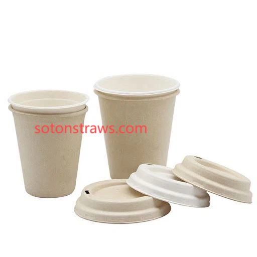 Soton’s Full-Spectrum Disposable Paper Cups Solution