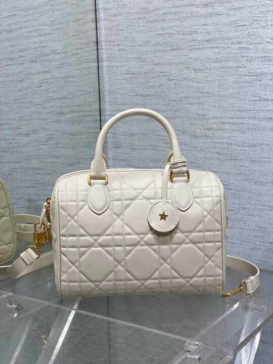 participate in AAA Dior Handbags the development