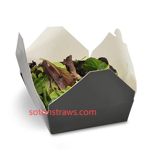 How Soton Reinvents Premium Disposable Kraft Box