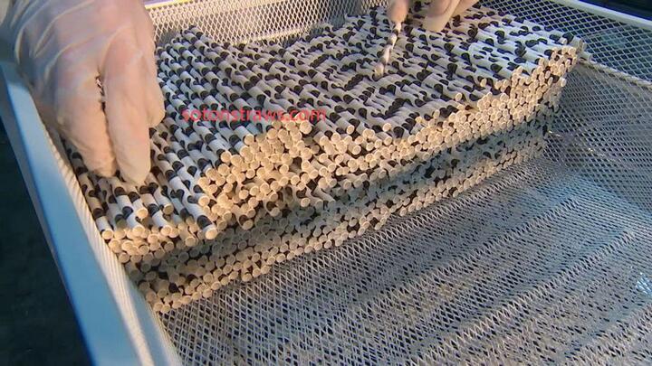 The Sustainable Soton Straws Method