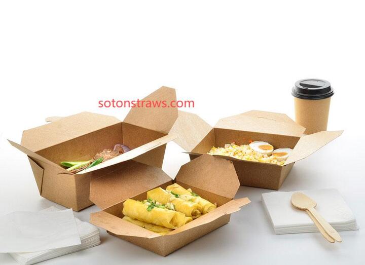  The Circular Lifecycle of Soton Disposable Kraft Box